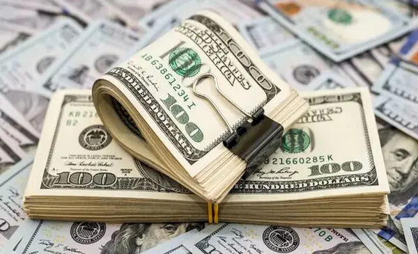 عکس زن مهدی قائدی در استخر