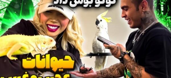 عکس برادر آرزو صادقی