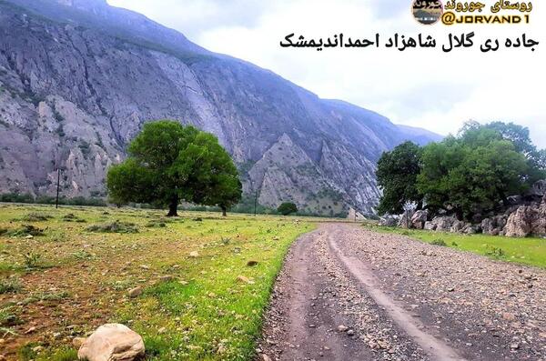 عکس ری اوری