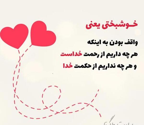 عکس طوطی چینی