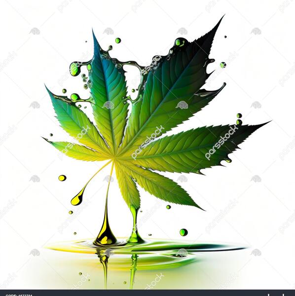 عکس سبزه شاهدانه