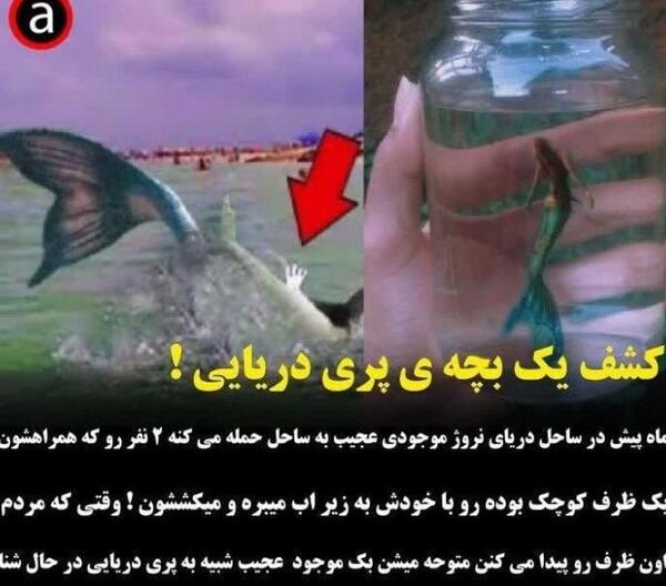 عکس از پری دریایی ها