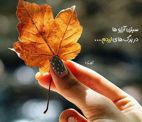 عکس حضرت ابوالفضل ساده