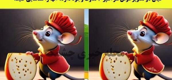 عکس از موش سرآشپز