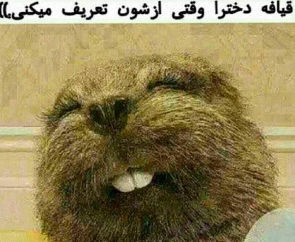 عکس پروفایل ضد زن