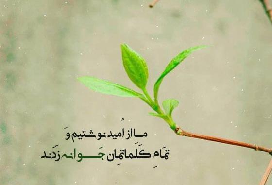 عکس نوشته انگیزشی با فونت زیبا