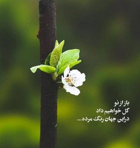 عکس نوشته انگیزشی با فونت زیبا