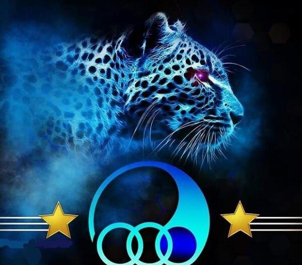 عکس پس زمینه گوشی استقلال