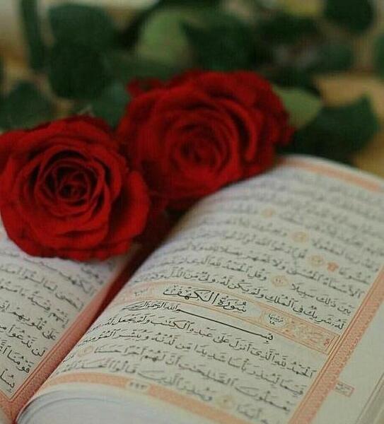 عکس گل و قرآن برای پروفایل
