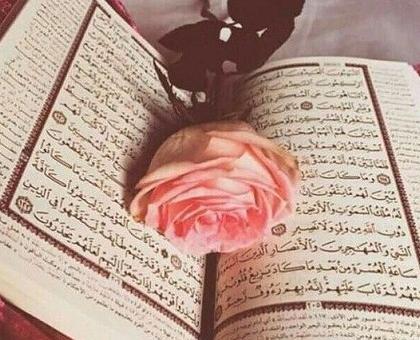 عکس گل و قرآن برای پروفایل