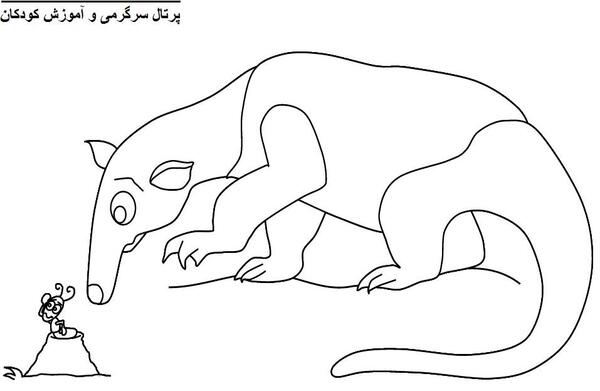 عکس نقاشی مورچه خوار