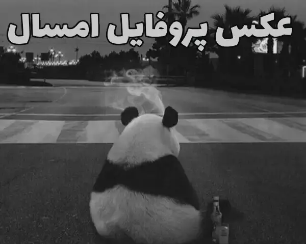 عکس پروفایل جدید امسال ۱۴۰۳