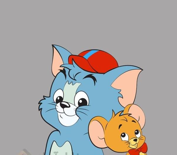 عکس موش تام