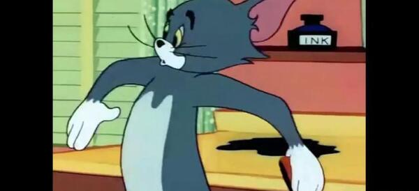 عکس موش تام