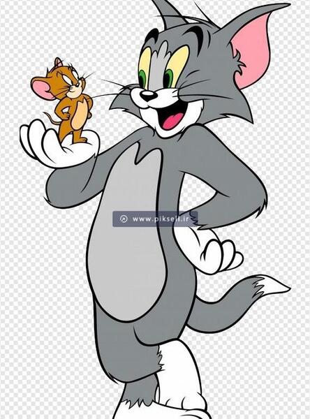 عکس موش تام
