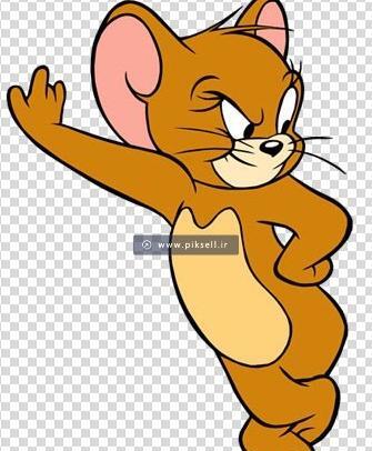 عکس موش تام