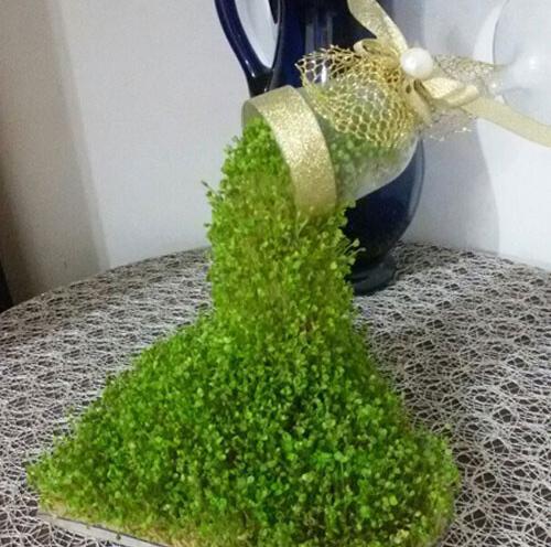 عکس سبزه آبشاری