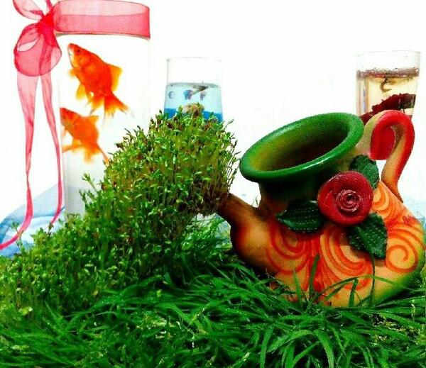 عکس سبزه آبشاری