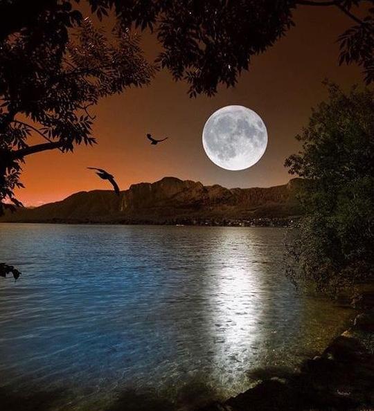عکس پروفایل آسمان تاریک