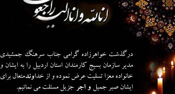 عکس پروفایل تسلیت خواهرزاده