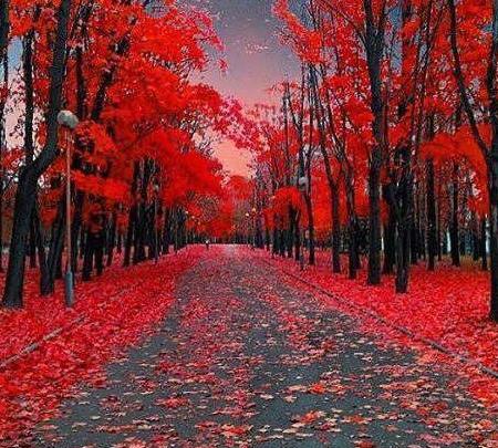 عکس های خفن از طبیعت