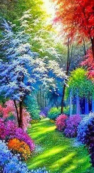 عکس های خفن از طبیعت