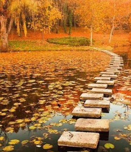 عکس های خفن از طبیعت