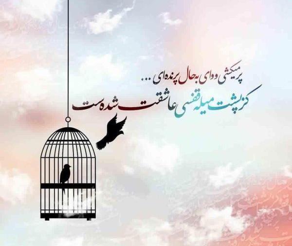 عکس پروفایل ما زیاران چشم یاری داشتیم