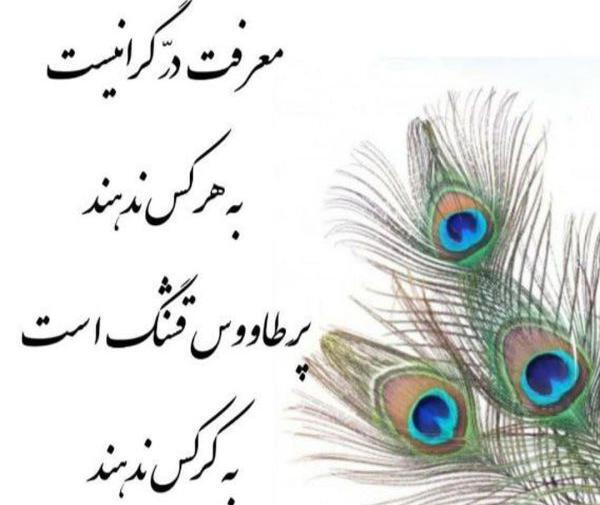 عکس پروفایل ما زیاران چشم یاری داشتیم
