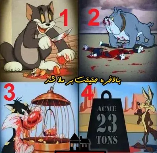 عکس مرگ میگ میگ