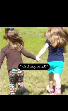 عکس مرگ میگ میگ