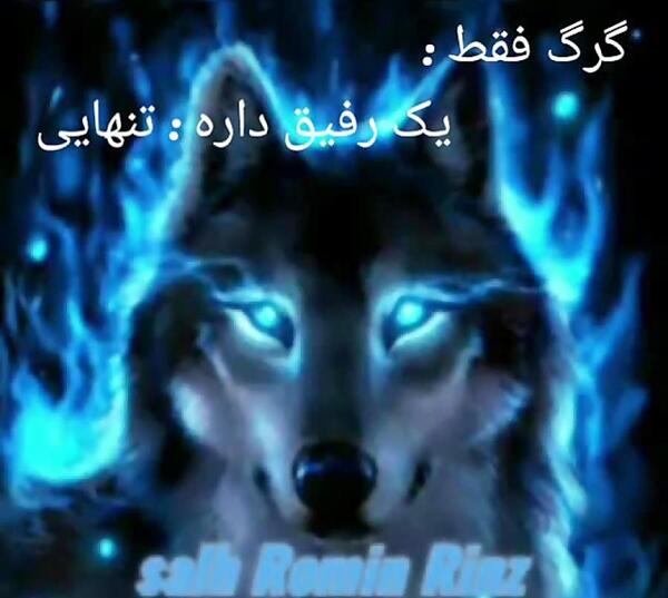 عکس های خفن گرگ