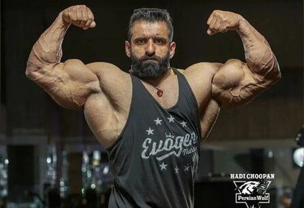 عکس تصویر زمینه هادی چوپان