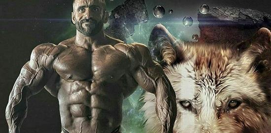عکس تصویر زمینه هادی چوپان