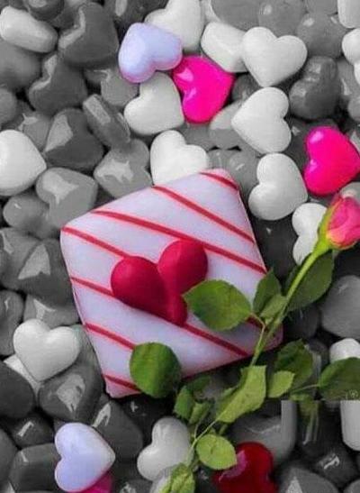 عکس تصویر زمینه گوشی گلدار