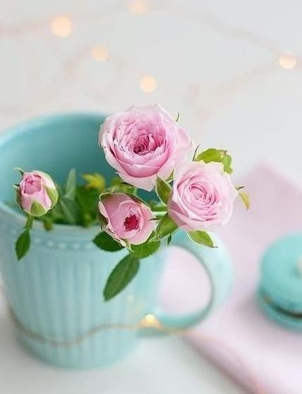 عکس گل زیبا برای پروفایل تلگرام
