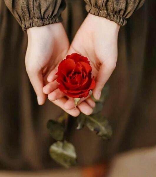 فیک خاص عکس دختر با گل برای پروفایل