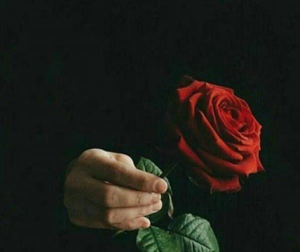 عکس گل برای پروفایل پسرانه شیک