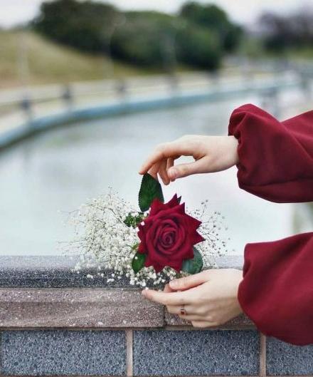 عکس گل برای پروفایل اینستا دخترانه