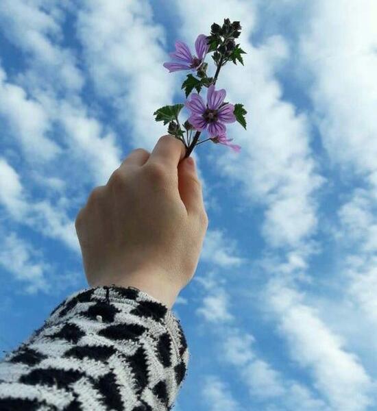عکس پروفایل دخترونه خفن گل