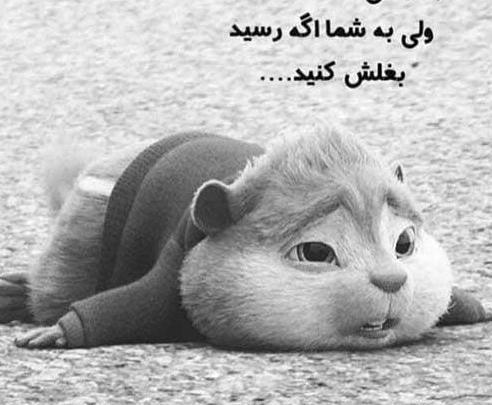 عکس پروفایل دخترونه لاتی خفن با متن