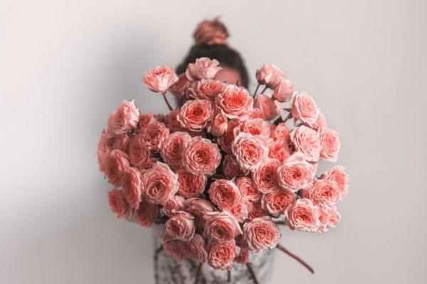عکس گل برای پروفایل گروه خانوادگی
