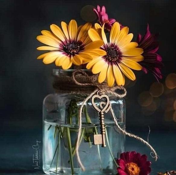 عکس گل برای پروفایل گروه خانوادگی