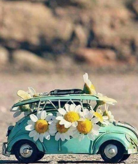 عکس گل برای پروفایل گروه خانوادگی