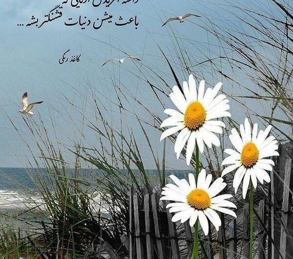 عکس گل برای پروفایل خدا