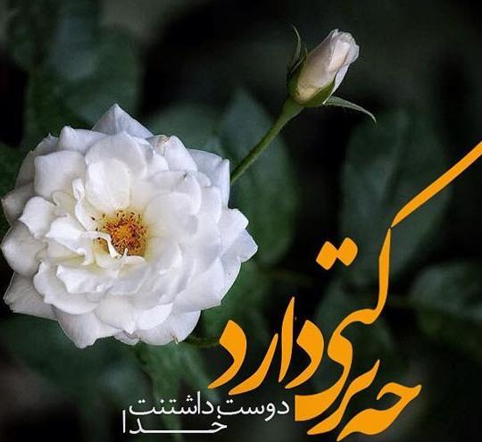عکس گل برای پروفایل خدا