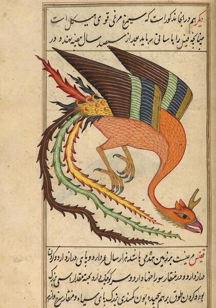 عکس واقعی زال و سیمرغ