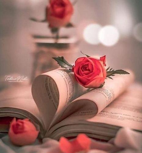 گل عکس پروفایل جدید امسال