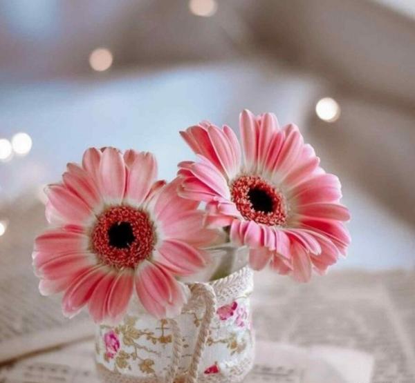گل عکس پروفایل جدید امسال