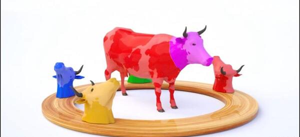 عکس گاو آپارات